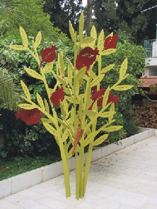 pomegranate tree